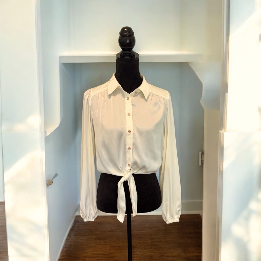 NWT Joie Silky Blouse